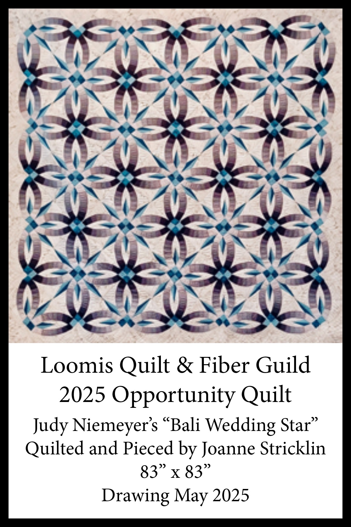 Big Border Opportunity Quilt 2025 dz (1)